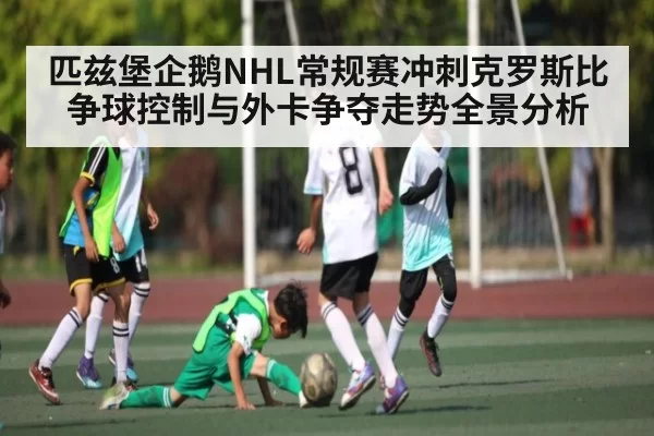 匹兹堡企鹅NHL常规赛冲刺克罗斯比争球控制与外卡争夺走势全景分析